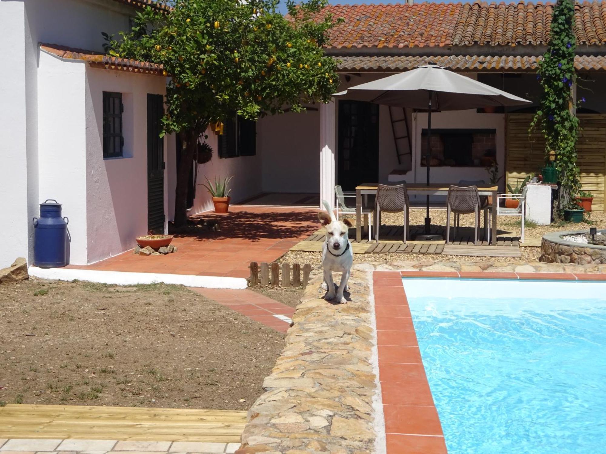 New Village Vila Nova da Baronia Zewnętrze zdjęcie